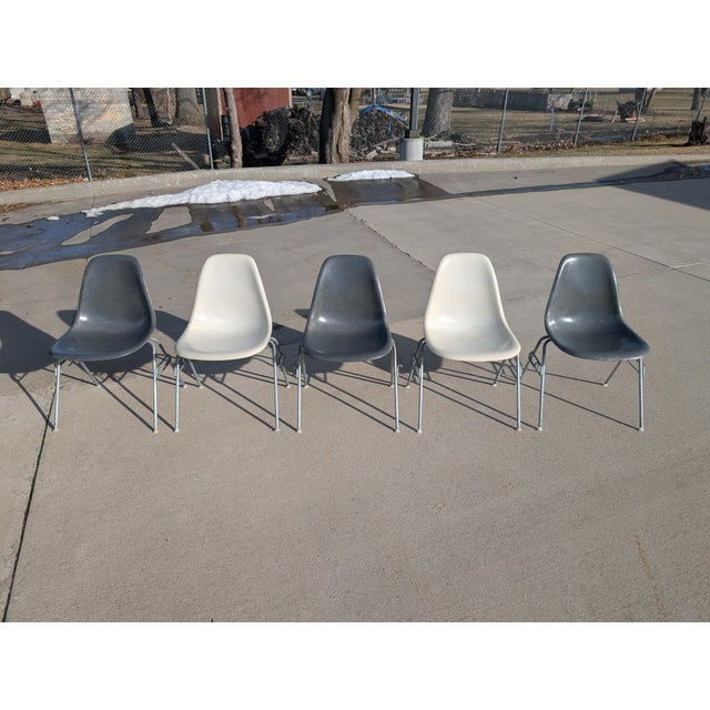 Mid-Century Modern 1960s Set of Eames for Herman Miller Fiberglass Shell DSS Chairs For Sale - Image 3 of 18