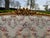1970 French Louis XVI Gold Beech Damask Settee 1pc For Sale - Image 4 of 12