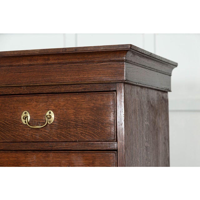 Large English Oak Tallboy Chest Drawers, 1870 For Sale - Image 9 of 14