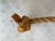 Wood Antique Double Oxen Yoke For Sale - Image 7 of 12
