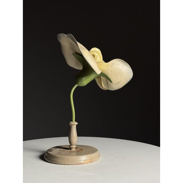 German Botanical Flower Model, 1900 For Sale - Image 10 of 18