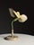 German Botanical Flower Model, 1900 For Sale - Image 10 of 18
