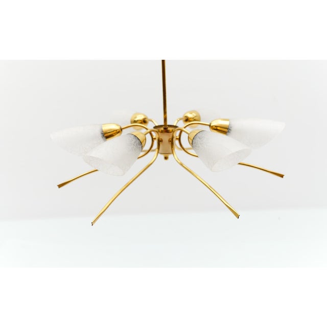 Mid-Century Modern Six-Armed Brass Sputnik Lamp, 1950s For Sale - Image 4 of 13