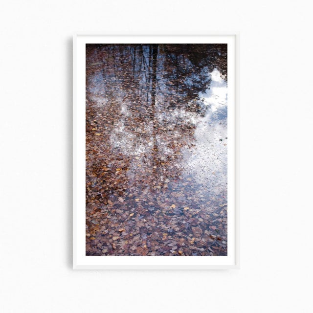 This contemporary photography print is a painterly piece of woodland artwork that has beautiful pointillism qualities....