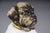 Ceramic Ceramic Pug Dog Figurine, England, 20th Century For Sale - Image 7 of 18