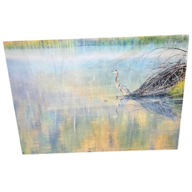 Thomas Mangelsen Morning Tranquility Fine Photography Print Mounted 45”x30”, Mounted For Sale In Phoenix - Image 6 of 8