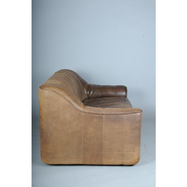 Vintage DS44 Two-Seater Buffalo Leather Sofa from de Sede, 1970s For Sale - Image 14 of 18