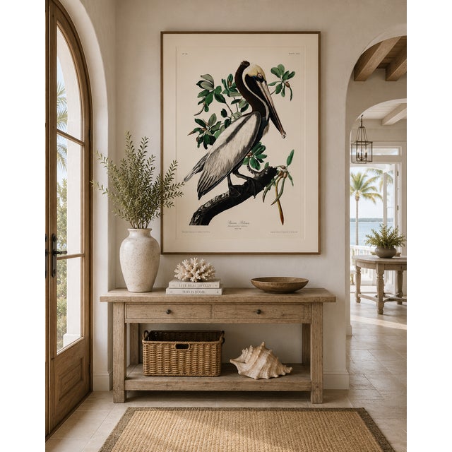 Brown Pelican by Audubon, Vintage Art Print Reproduction, 40" X 60" For Sale - Image 10 of 12