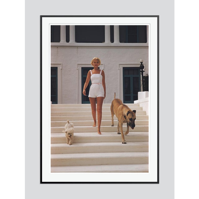 Modern c.z. Guest 1955 by Slim Aarons Framed C-Print For Sale - Image 3 of 3