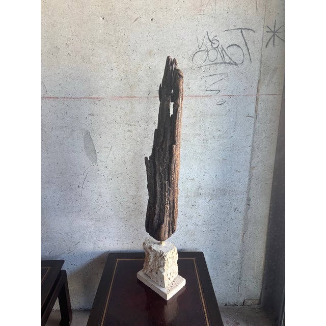 Folk Art Monumental Organic Coastal Vintage Driftwood Sculpture on Coral Stone Base For Sale - Image 3 of 9