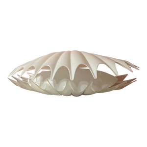 Rougier Acrylic Clam Shell Lamp