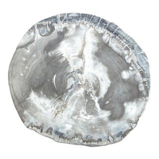 Palecek Petrified Wood Slab For Sale