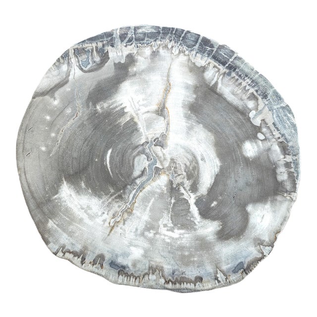 Palecek Petrified Wood Slab For Sale