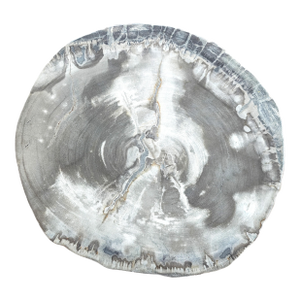 Palecek Petrified Wood Slab