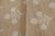 Contemporary Erin Gates by Momeni Saybrook Bloom Beige Indoor/Outdoor Area Rug 6'6" X 9' For Sale - Image 3 of 12