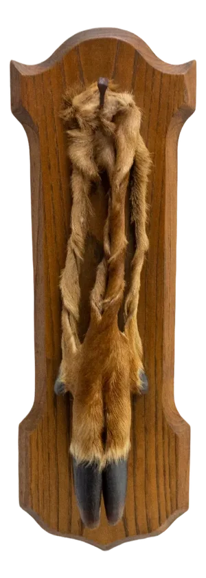 Mid-Century French Hunting Trophy Deer Foot in Oak, 1960