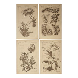 1887-Set of 4-French Antique Architectural Design Engravings-Leaf Designs For Sale