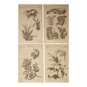 1887-Set of 4-French Antique Architectural Design Engravings-Leaf Designs