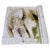 Lion of Saint Mark with Motto in Botticino Marble, Serenissima, 19th Century For Sale - Image 10 of 10