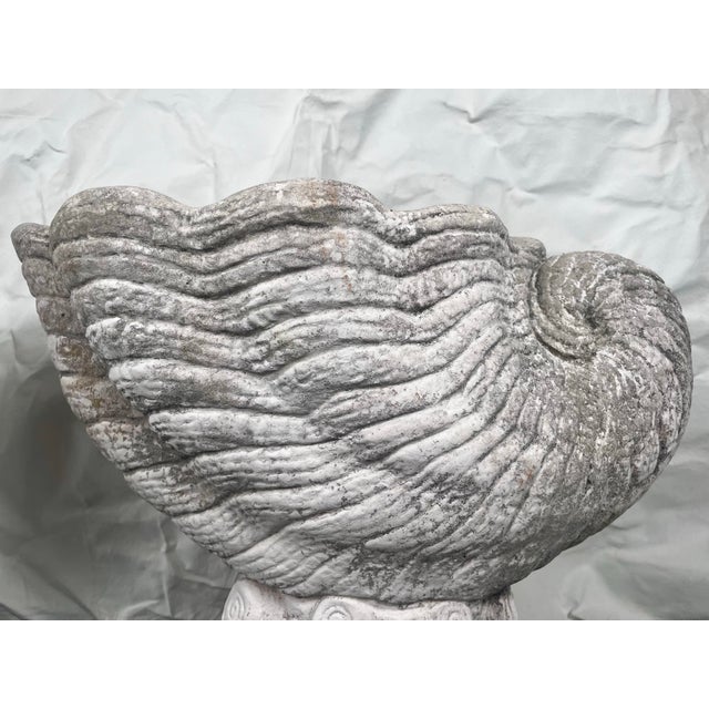 Mid 20th Century Vintage Cast Stone Nautilus Shell Planters- A Pair For Sale - Image 5 of 12