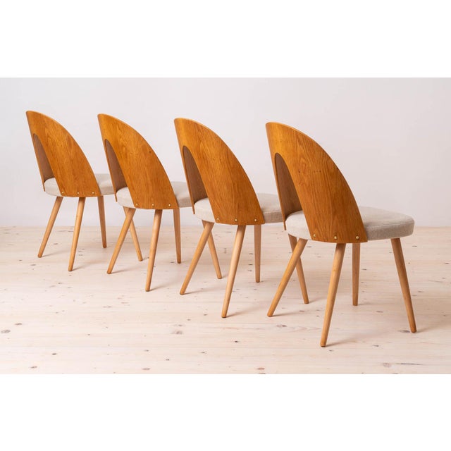 Wood Mid-Century Dining Chairs attributed to A. Suman, 1960s, Set of 10 For Sale - Image 7 of 18