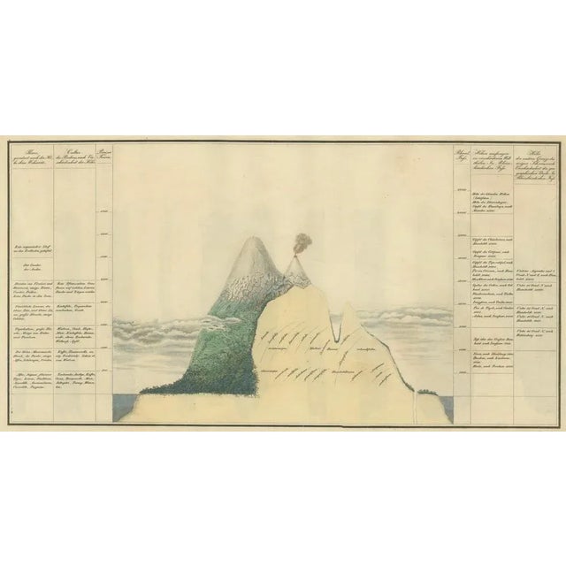 Title: Cinchona Bark Varieties: An Illustrated Botanical Atlas (1826)** : This rare and finely illustrated botanical...