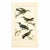 Illustration 19th-Century Hummingbird Study | Set of 4 Buffon Hand-Colored Antique Bird Prints For Sale - Image 3 of 6