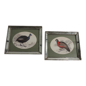 Vintage Resin Framed Prints of Guinea Fowls - Set of 2