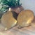 1980s 1980s Brass Sea Shell Bookends by Andrea Sadek - A Pair For Sale - Image 5 of 6