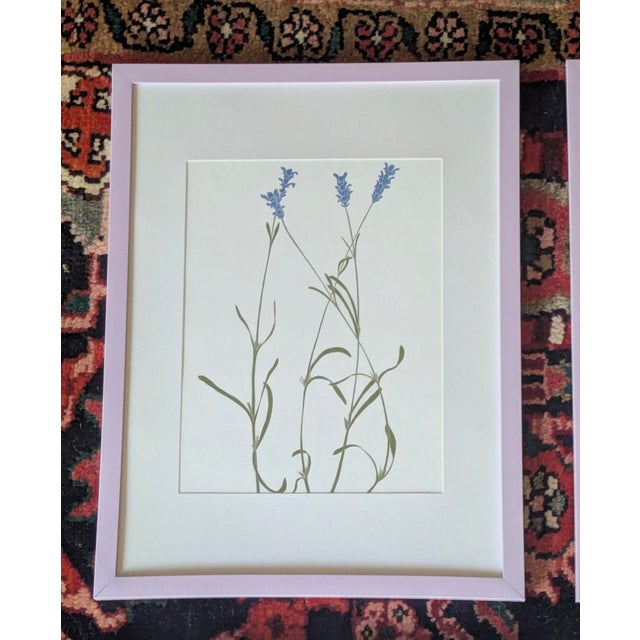 Lavender Henry Evans Botanical Linocut Prints Framed- Set of 4 For Sale - Image 8 of 17