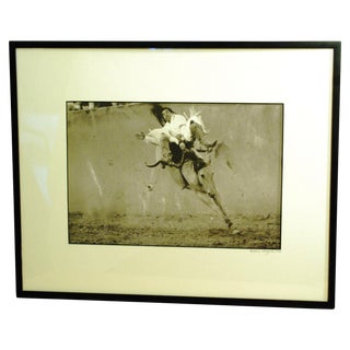 "Bronco Ballet - Stanley Young" Photography For Sale