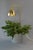 An exceptionally rare model g98 flower lamp designed by hans-agne jakobsson and produced by hans-agne jakobsson ab,...