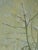 Green 1959 Mid-Century Modern 'Whispering Canopy' Swedish Semi-Abstract Landscape Oil Painting, Framed For Sale - Image 8 of 13