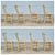 Late 19th Century French Provençal Directoire Painted Carved Back Rush Seat Dining Chairs, Set of 8 For Sale - Image 14 of 16