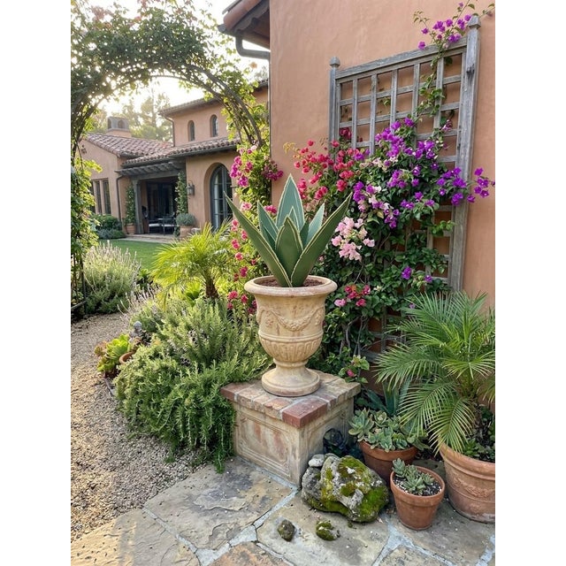 Hand-Painted Moroccan Metal Agave Sculptural Garden Ornament For Sale - Image 12 of 12