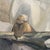 Bring a touch of serene charm to your walls with this delightful mixed-media watercolor painting by regional artist...