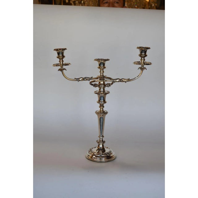 Pair of silver twisted arm candelabras