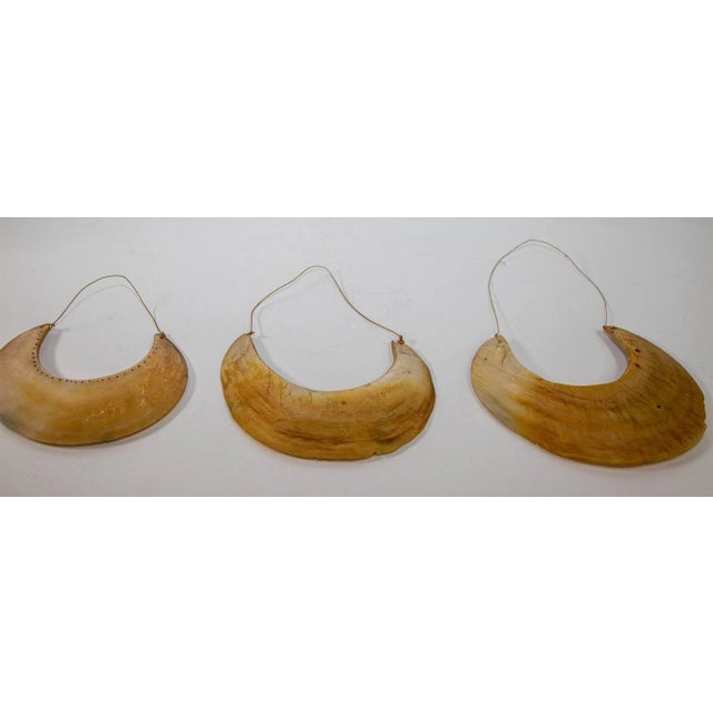 Antique Collectible Ethnic Tribal Folk Art Crescent Shell Pieces Choker Necklaces from Papua New Guinea. Shell pieces cut...