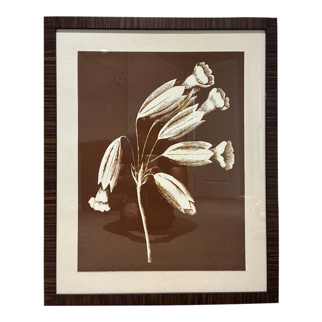 Natural Curiosities Sepia Botanical Floral Print in Dark Wood Frame For Sale