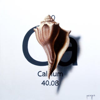 Calcium by Patrick Nevins | Oil on Board Shell with chemical symbol for calcium For Sale
