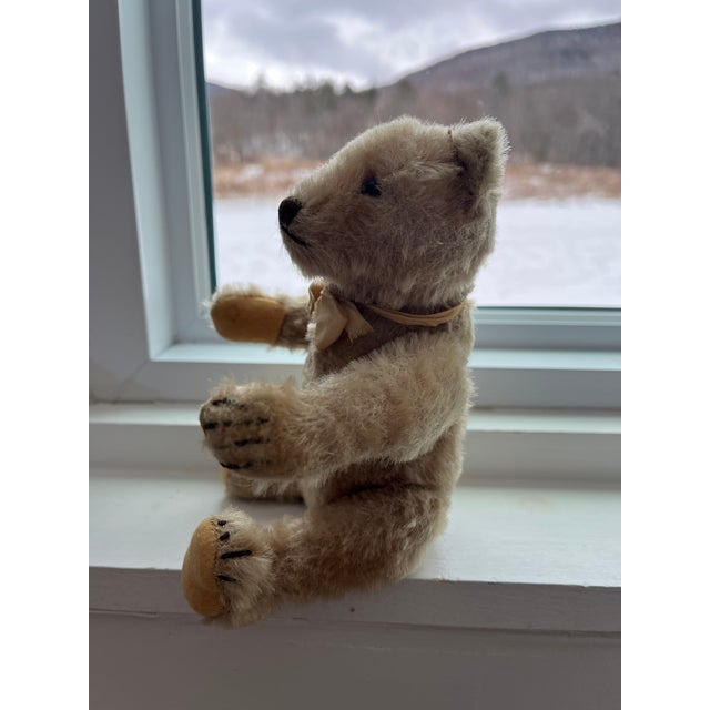 Farmhouse Small Steiff Bear Antique For Sale - Image 3 of 11