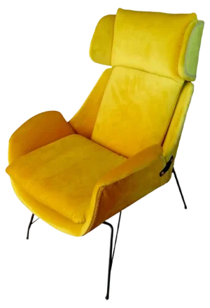 Lounge Chair by Augusto Bozzi for Saporiti Italia, 1950s