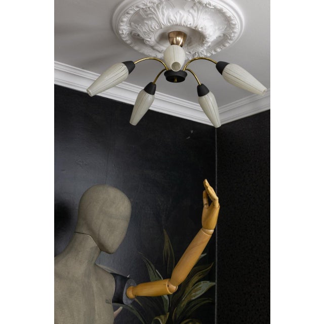 Mid-Century Modern German Sputnik Chandelier, 1950s For Sale - Image 9 of 18