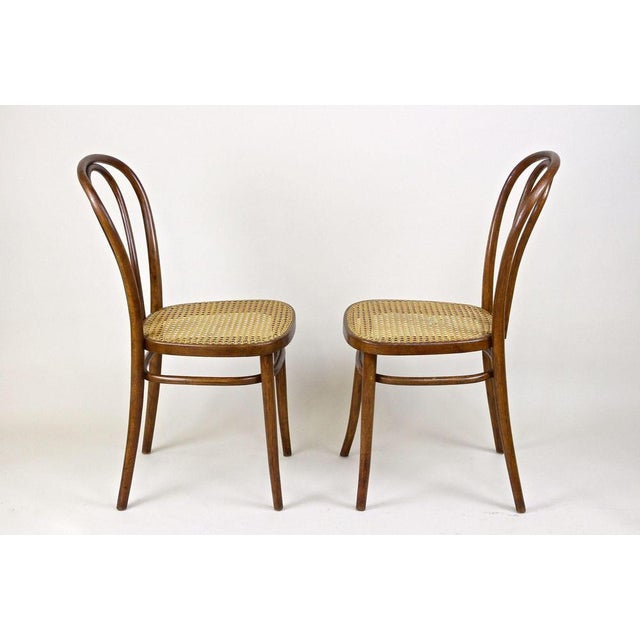 Set of Art Nouveau Bentwood Chairs No. 14, Austria, 1890s For Sale - Image 9 of 15