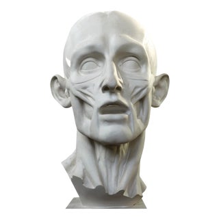Jean-Antoine Houdon, Flayed Man, 20th Century, Plaster Cast For Sale