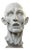 Jean-Antoine Houdon, Flayed Man, 20th Century, Plaster Cast For Sale