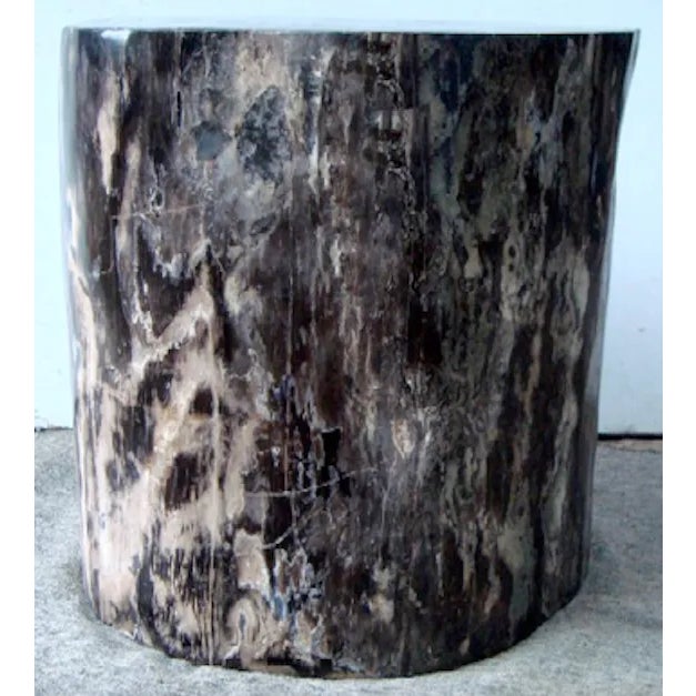 Petrified Mahogany Dims: 24”D x 19” W x 20” H Color: Black/Ebony, Cream, Natural tones, and Brown Petrified Wood Petrified...