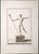 Carlo Nolli, Ancient Roman Statue, Etching, 18th Century For Sale