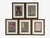 Renaissance Antique Renaissance, Six Framed Antique Ornament Prints, 20th C. For Sale - Image 3 of 16