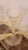 Mid 20th Century Mid 20th Century Coralene Art Glass Epergne With Flour Flutes For Sale - Image 5 of 9
